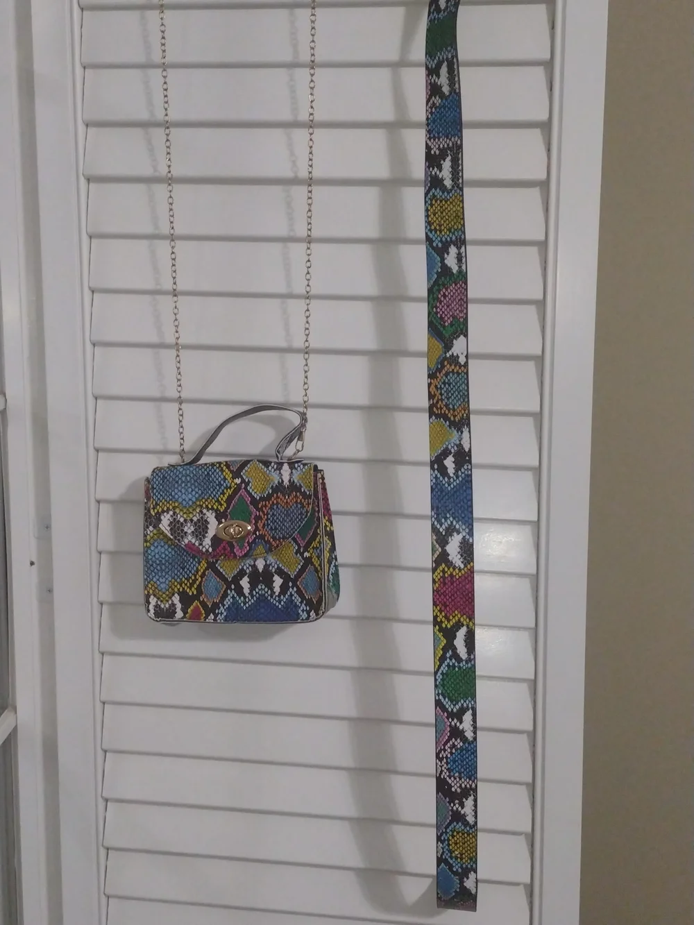 Colorful Multicolor Snake-Print Crossbody Bag And Matching Belt.